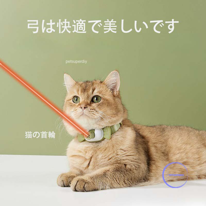 レーザーポインター 緑 カラス 