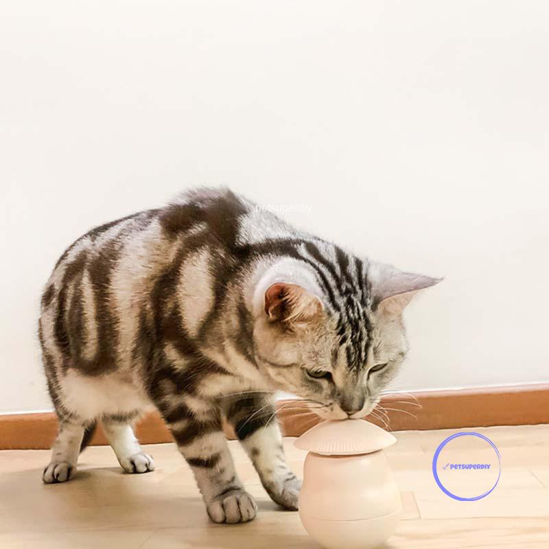 レーザーポインター 緑 危険 