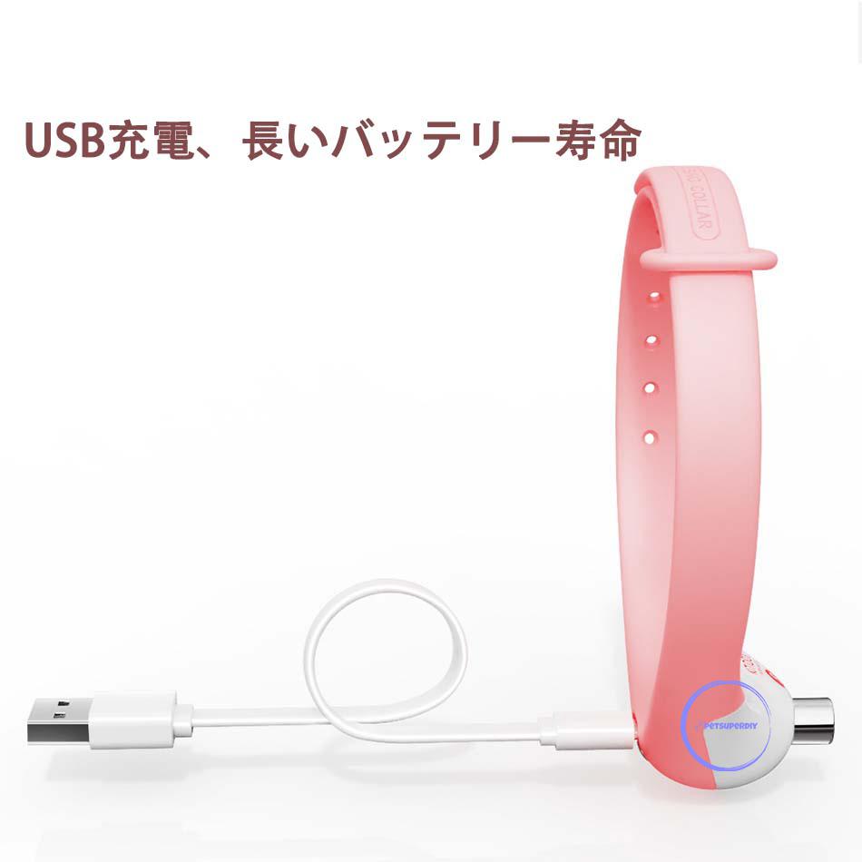 猫 レーザーポインター 100均 